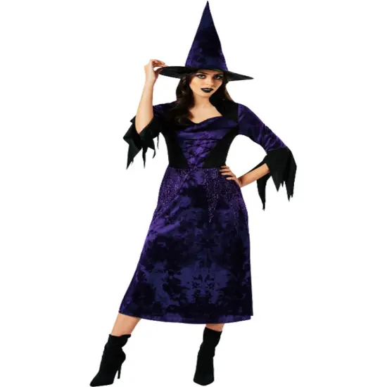 Classy Purple Witch Women's Costume {1}