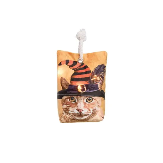 Witch Cat-Chunk Halloween Light-Up LED Doorstop Decor {1}