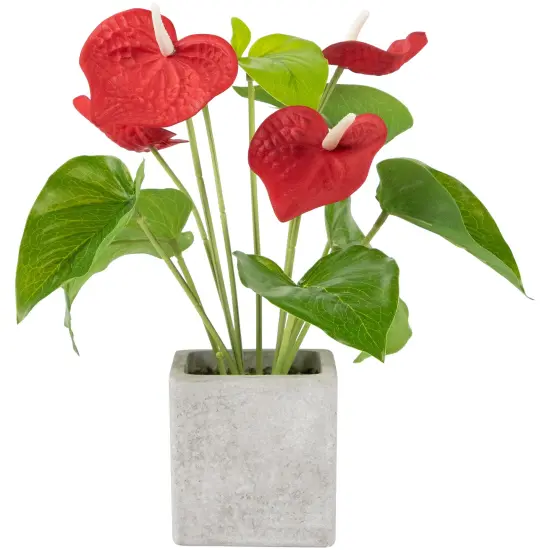 Northlight Anthurium Spring Floral Artificial Plant in a Square Pot - 12" - Red {1}