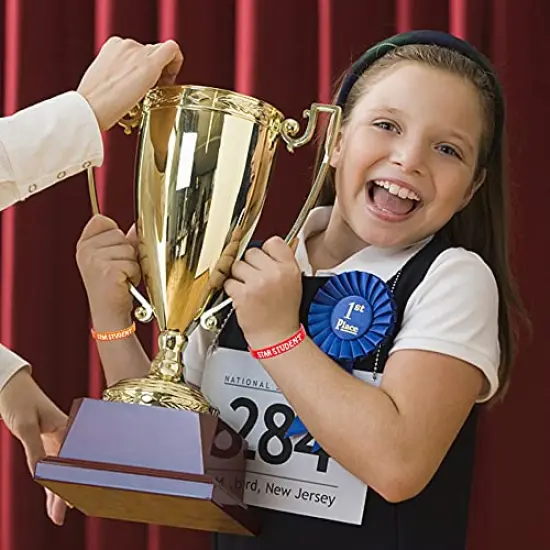 24PCS Star Student Wristbands-Color Star Student Silicone Bracelets,Star Student rubber Bracelets for School Classroom Teacher Recognition Award, Sports Office Education Activities Kids {6}