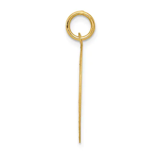 14K Yellow Gold Pug Disc Charm Dog Pendant Jewelry 26mm x 20mm {4}