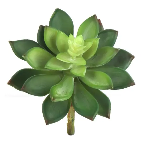 Stylish Hassle-Free 5.5" Artificial Succulent Sedum Plant - Chic Home Decor, Floral Home by Artificial Flowers {1}