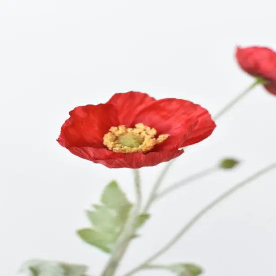24" Faux Red Poppy Stem {4}