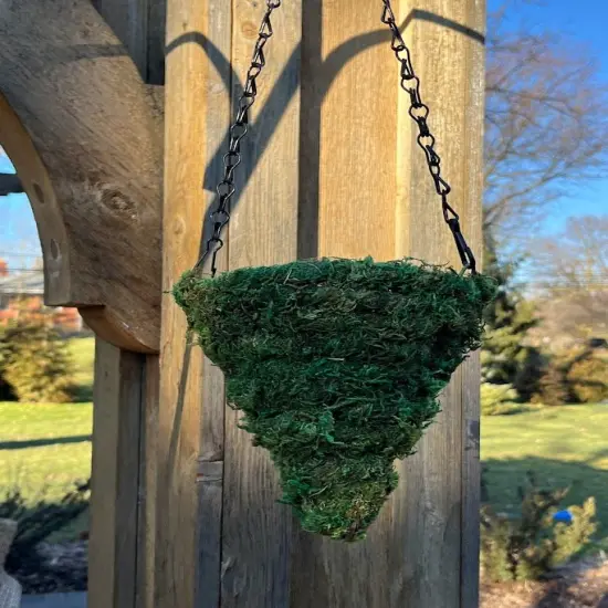 6" MOSS Hanging Basket - Circle Cone {5}