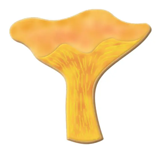 CookieCutter.Com Brand Brand Chanterelle Mushroom Cookie Cutter 3.25 in, Tin Plate Steel, Handmade in USA {2}