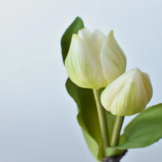 8" Faux Real Touch White Tulips in Bulb w/pick {3}