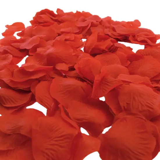 1000 Pcs Rose Petal Wedding Party Decorations Ivory {3}
