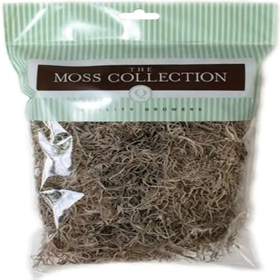Quality Growers Preserved Spanish Moss 108.5 Cubic Inches-Natural {1}