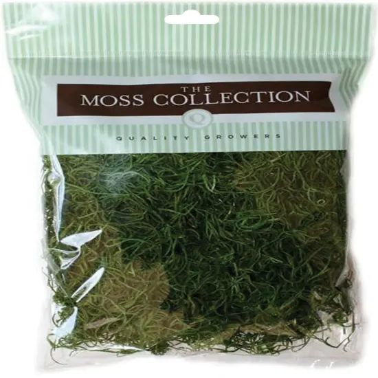Quality Growers Preserved Spanish Moss 108.5 Cubic Inches-Apple Green {1}