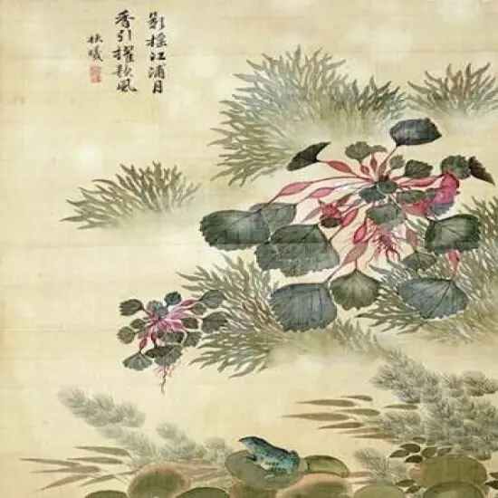 Water Caktrios and Frog Poster Print byMa Yuanyu - Item # VARPDX267608 {1}