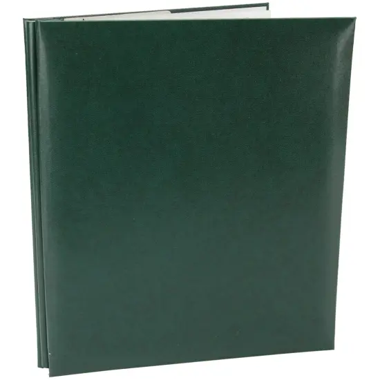 Pioneer Leatherette Post Bound Album 8.5"X11" {2}