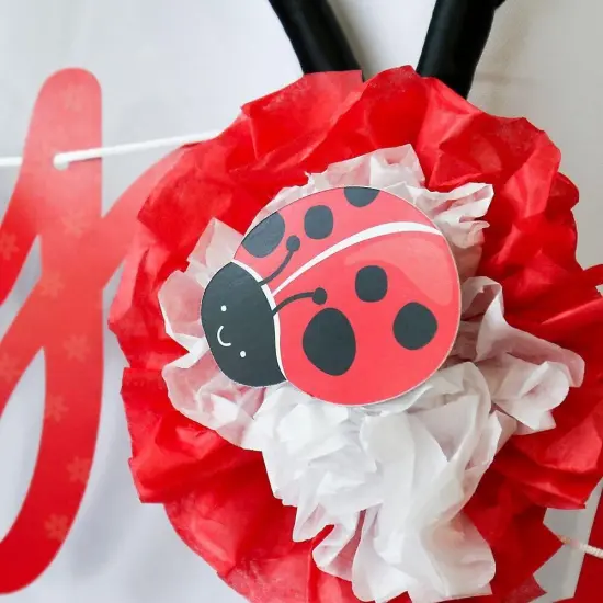 Big Dot of Happiness Happy Little Ladybug - DIY Shaped Baby Shower or Birthday Party Cut-Outs - 24 Count {7}