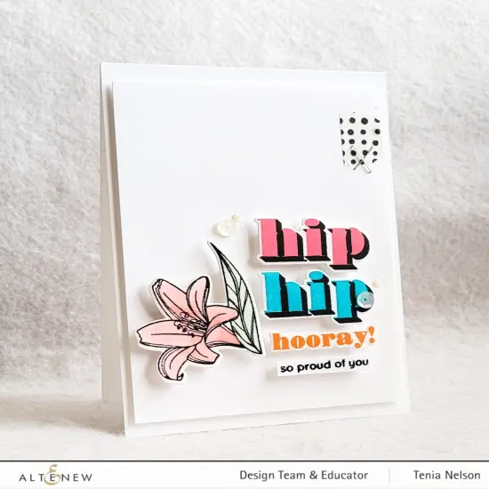 Mini Delight: Hooray! Stamp & Die Set {4}