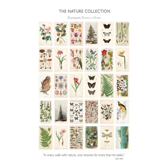 Nature Collection Postcard Set: Pack of 30 Retro Style Botanical, Nature and Ephemera Postcards by Wintertime Crafts {5}