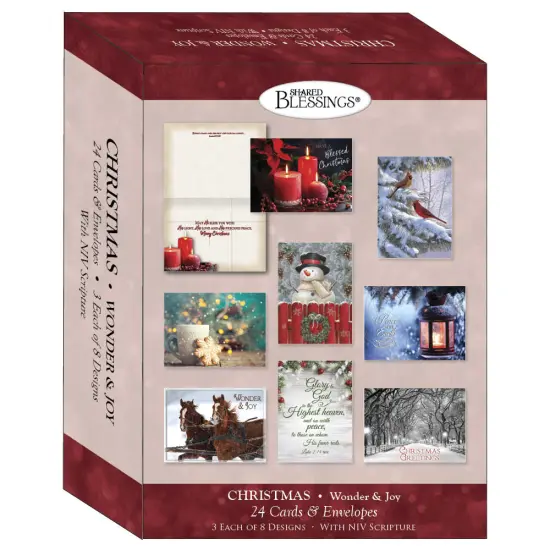 Large Boxed Christmas Card Assortment- Wonder and Joy - 24 cards and envelopes {3}