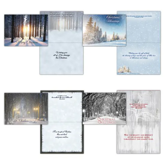 Boxed Christmas Cards-Beauty of the Season {1}