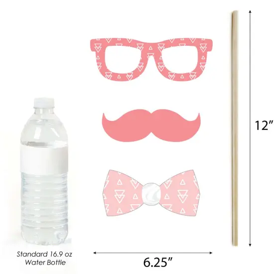 Big Dot of Happiness It's Twin Girls - Pink and Rose Gold Twins Baby Shower Photo Booth Props Kit - 20 Count {6}