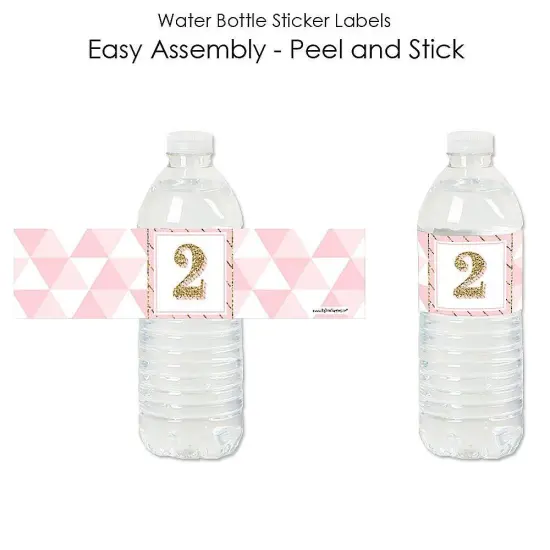 Big Dot of Happiness 2nd Birthday Girl - Two Much Fun - Second Birthday Party Water Bottle Sticker Labels - Set of 20 {3}