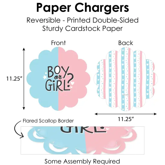 Big Dot of Happiness Baby Gender Reveal - Team Boy or Girl Party Paper Charger and Table Decorations - Chargerific Kit - Place Setting for 8 {6}