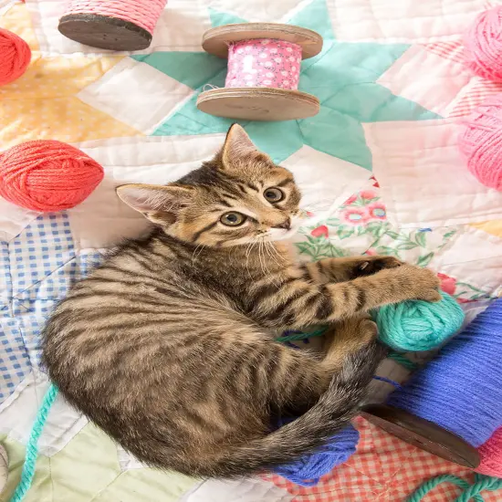 Sunsout Mine 300 pc Jigsaw Puzzle 72108 {1}