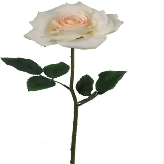 20-Inch Premium Open Rose Stems - Set of 24 with Lifelike Silk Leaves, Realistic Artificial Roses for Bouquets, Floral Arrangements, Wedding & Event Decor, Home & Office Accents, Floral Home by Artificial Flowers Red {3}