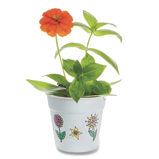 Zinnia Flower Gardens (Pack of 48) {4}
