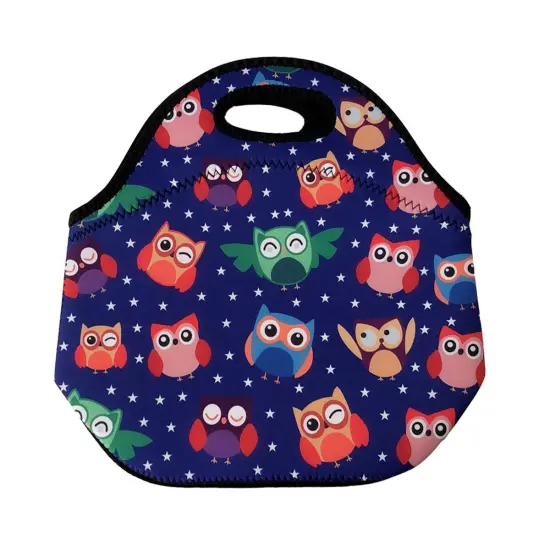 Wrapables Insulated Neoprene Lunch Bag Rainbow Owls {1}