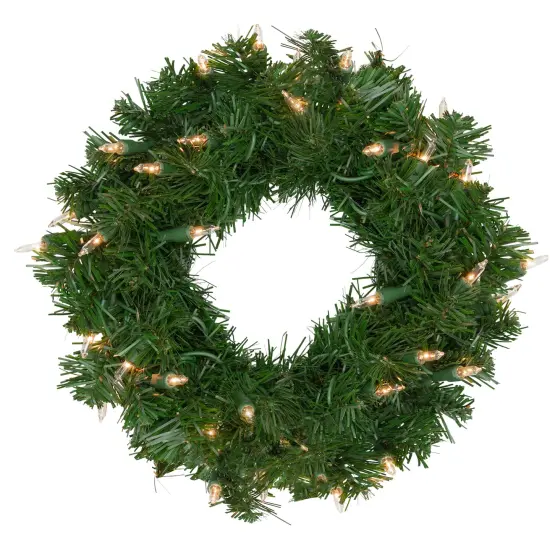 Northlight Pre-Lit Artificial Deluxe Windsor Pine Christmas Wreath - 12" - Clear Lights Green {1}