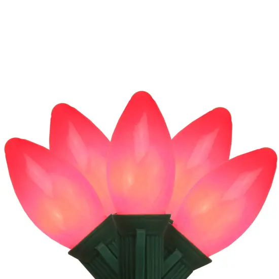 Northlight 25-Count Red Opaque C9 Christmas Light, 24ft Green Wire {1}