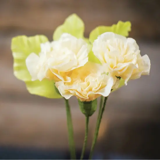 Lia Griffith Extra Fine Crepe Paper 19.6"X78.7"-Chiffon {2}