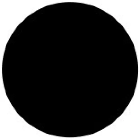 DecoArt Americana Enchanted Paint 2oz {4}