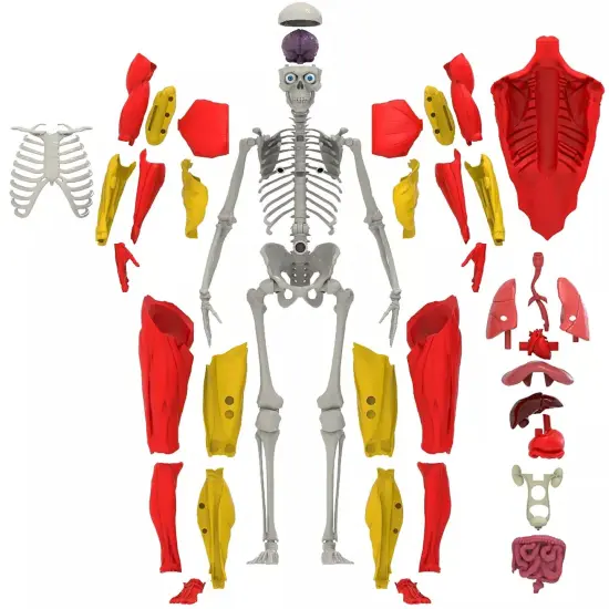 Interactive Human Body {3}