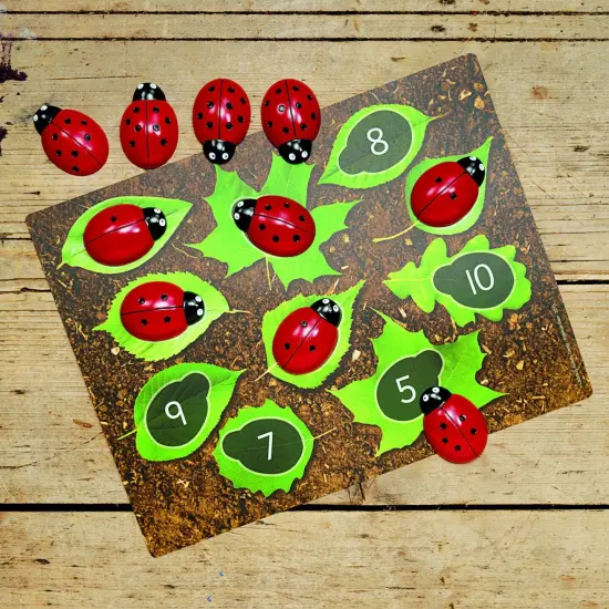 Ladybugs Early Number Card, Pack of 16 {3}