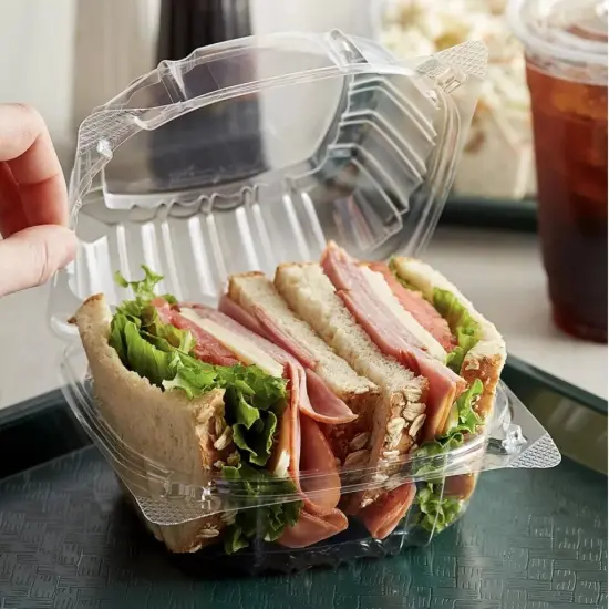 Clear Hinged Lid Plastic Food Container {4}