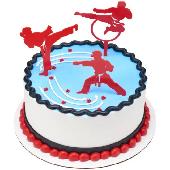 Martial Arts Cake Kit {3}