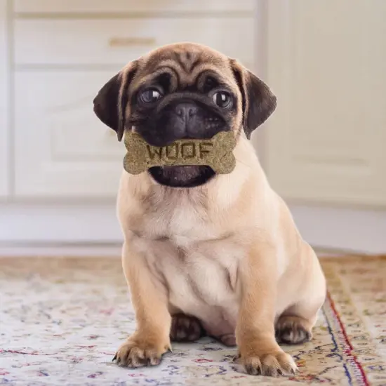 Ann Clark Dog Bone Cookie Cutter {3}