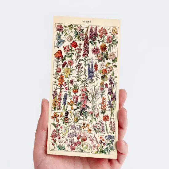 Nature Collection Postcard Set: Pack of 30 Retro Style Botanical, Nature and Ephemera Postcards by Wintertime Crafts {3}