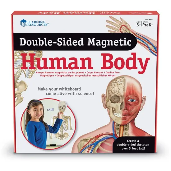 Double-Sided Magnetic Human Body Set, 17 Pieces {3}