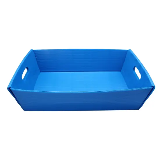 Blue Plastic Letter Tray - 2 Pack {3}
