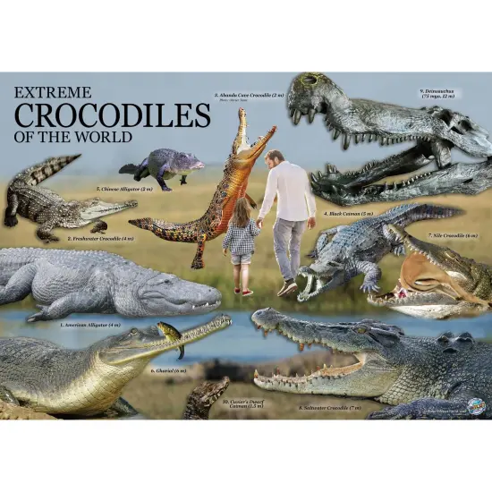 Extreme Crocodiles of the World - For Ages 6+ - Create and Customize Models and Dioramas - Study the Most Extreme Animals {3}