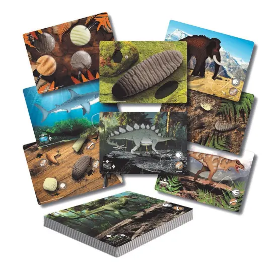 Prehistoric Teeth &ndash; Explore and Discover Activity Cards, Set of 16 {1}