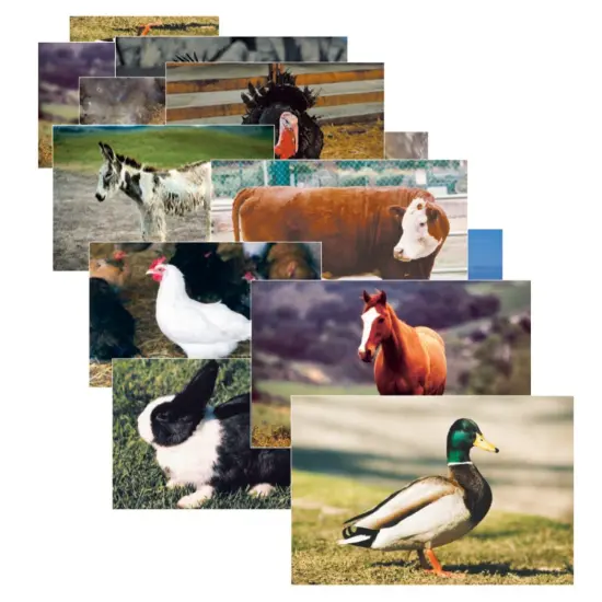 Farm Animal Real Life Learning Poster Set, Set of 10 {1}