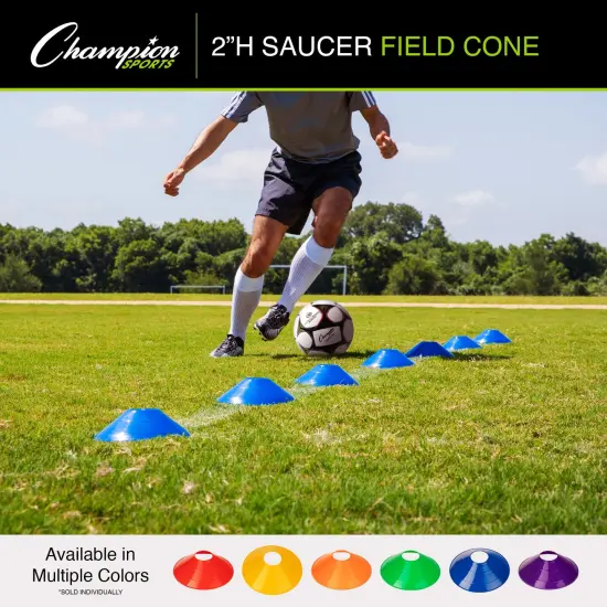 Saucer Field Cone Set, Set of 48 {6}