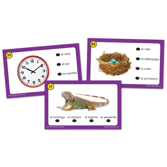 Power Pen&reg; Learning Cards: Everyday Words in Spanish {2}