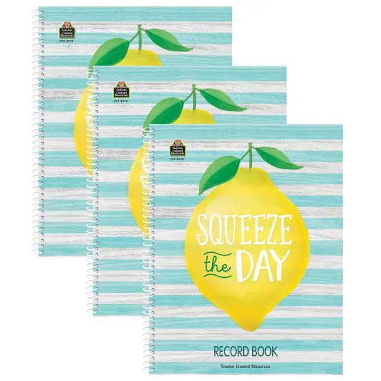 Lemon Zest Record Book, Pack of 3 {1}