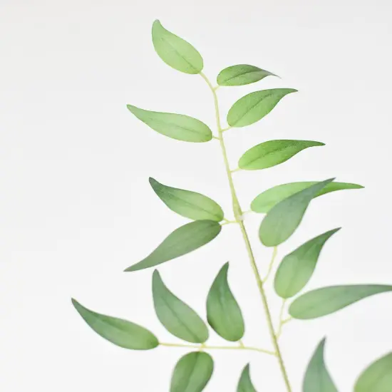 36" Faux Italian Ruscus Stem {3}