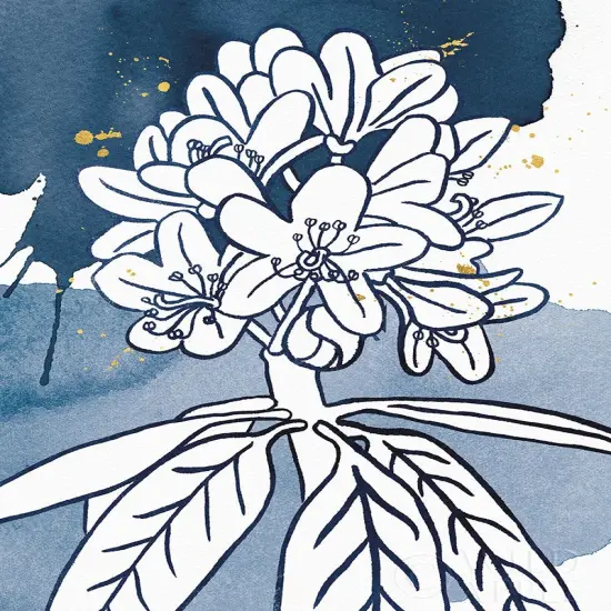 Indigo Blooms II Poster Print by Wild Apple Portfolio Wild Apple Portfolio # 63542 {1}