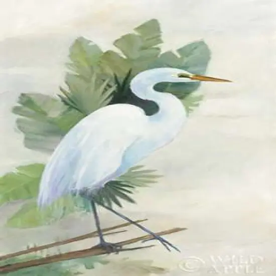 Standing Egret I Crop Poster Print by Avery Tillmon - Item # VARPDX27116 {1}