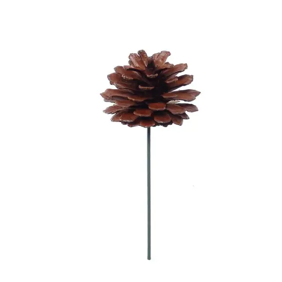 2.5" Lacquered Pine Cone - 12 Pieces, Elegant Decorative Accents for Holiday Decor, Wreaths & Seasonal Displays - 2024 Christmas Collection, Floral Home by Artificial Flowers {1}