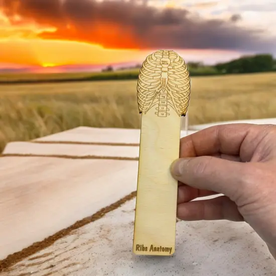Bookmark - Ribs Anatomy - Birch wood {6}